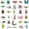 60PCS Insect Stickers Set – Waterproof PET Bug & Nature Animal Decorative Stickers for Scrapbooking, Science Projects, Journals & DIY Crafts